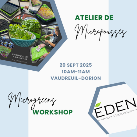 Microgreen workshop - 20 Sept 2025