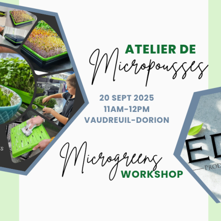Microgreen workshop - 20 Sept 2025