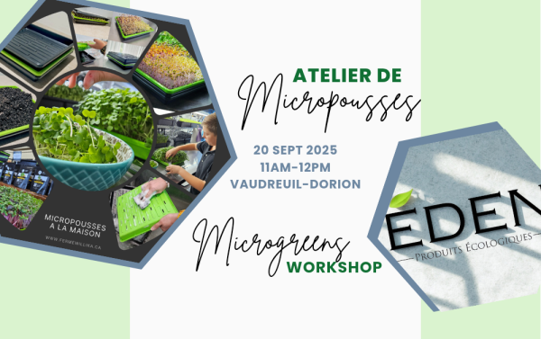 Microgreen workshop - 20 Sept 2025