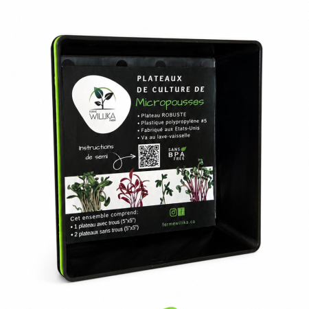 Trays for microgreens - small