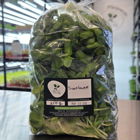 Tournesol - Sac 250gr.