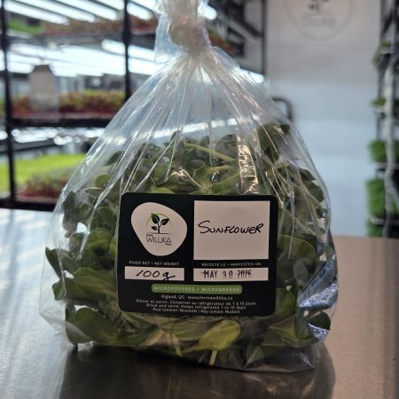 Tournesol - Sac 100gr.