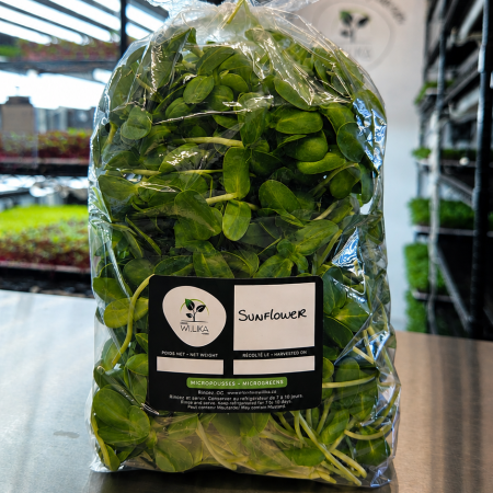 Tournesol - Sac 500gr.
