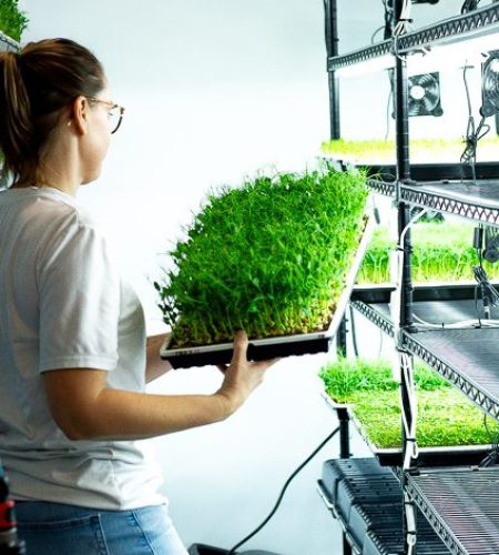 Ferme Wilika Decembre 2025-30