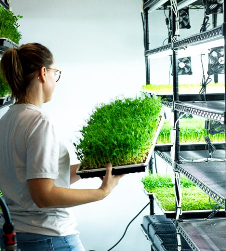 Ferme Wilika Decembre 2025-30